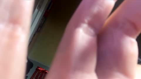 Dalia April online show from 02.15.26