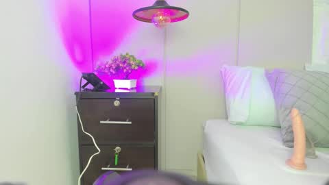 D A L I L A online show from 02.09.26