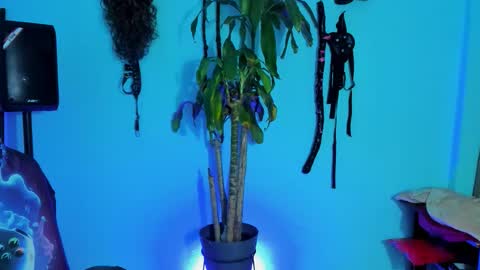 Damian torner online show from 10.28.25