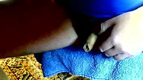 Dammerl online show from 04.24.26