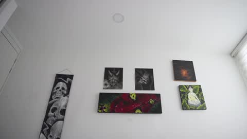 insta damn8   ---         -----  online show from 07.19.26
