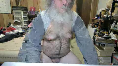 Dana online show from 12.08.24