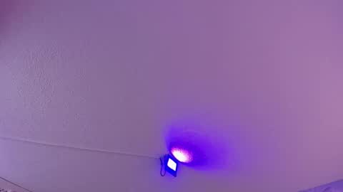 Daniela online show from 03.11.25