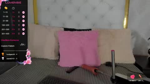 Snapshot of dani_ary chatting on 02.25.25 DANI online show from 02.25.25