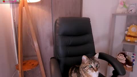 Danielle Rose online show from 11.02.25