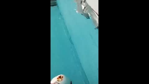 danipas_30 online show from 02.12.26