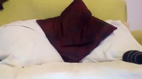 daniroca8 online show from 02.17.26