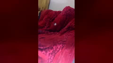 dandeb online show from 06.03.26