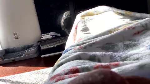 dannyboy621 online show from 11.06.25