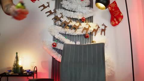 SEBAS online show from 11.26.25