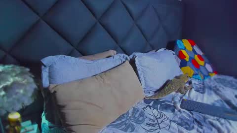 Dany online show from 01.17.26