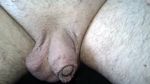 dapppper online show from 06.06.26