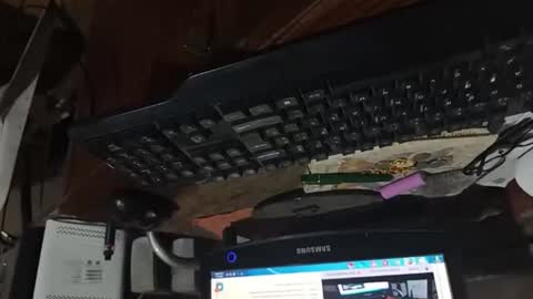 Snapshot of dario48 chatting on 11.03.25 dario48 online show from 11.03.25