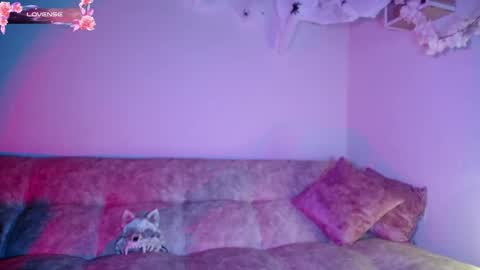 Dark online show from 10.30.25