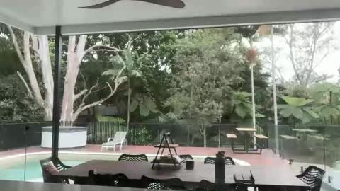 dartanian0001 online show from 09.18.25