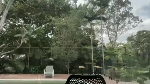 dartanian0001 online show from 10.01.25