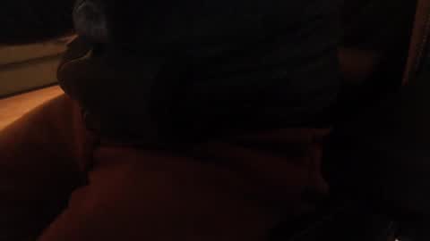 Snapshot of davdao3 chatting on 12.20.24 davdao3 online show from 12.20.24