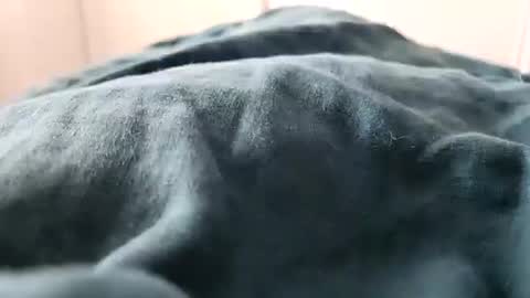 Snapshot of davdao3 chatting on 02.16.25 davdao3 online show from 02.16.25