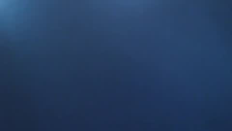 Snapshot of davdao3 chatting on 11.02.25 davdao3 online show from 11.02.25