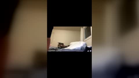 Exhibit A online show from 02.22.26