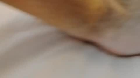 david1982yesyes online show from 03.02.26