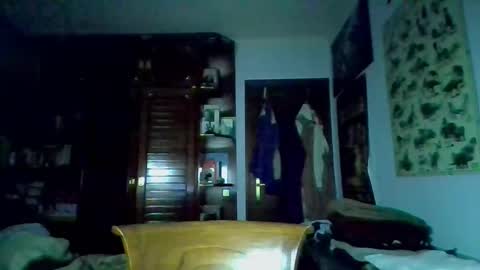 Snapshot of david33333333 chatting on 03.09.25 david33333333 online show from 03.09.25