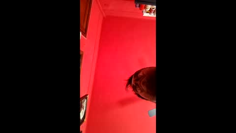 david_argentina online show from 01.11.26