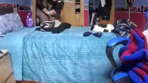 Hugo online show from 01.26.25