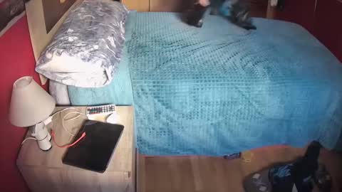 Hugo online show from 02.20.25