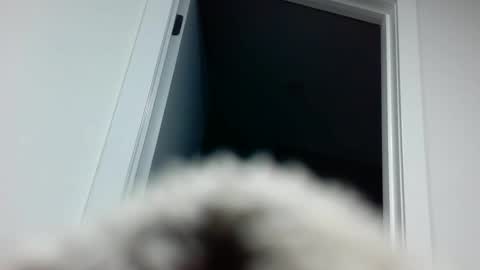 Snapshot of davyd11 chatting on 09.18.25 Davvyd online show from 09.18.25