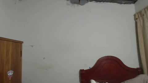 Dylon online show from 10.04.25