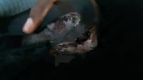 dbizzlenyc online show from 02.01.25