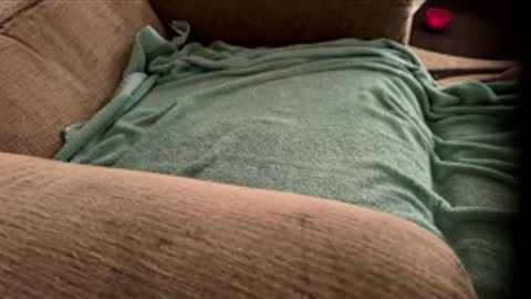 dcooper92 online show from 04.13.26