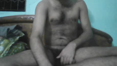 Haddock 07 online show from 04.08.26