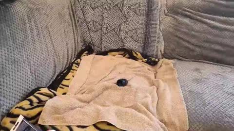 deepandwet86 online show from 02.28.26