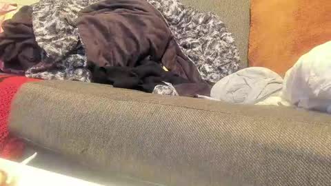 Deez Nutz online show from 09.09.25