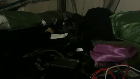 delightfuldark online show from 10.03.25