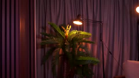 Delilah online show from 02.07.26