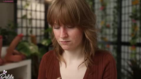 DeLite  Next stream on Wednesday or Thurdsay  online show from 03.05.26