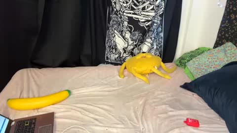 TankinBody online show from 12.11.24