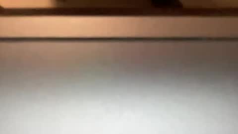 Snapshot of densex123 chatting on 03.04.25 densex123 online show from 03.04.25