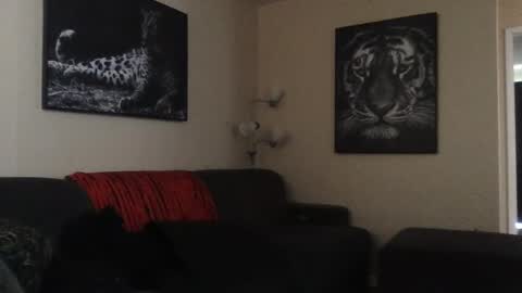 detectivearcor online show from 01.27.25