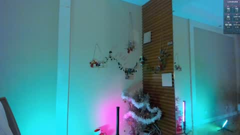 Devil online show from 12.29.24