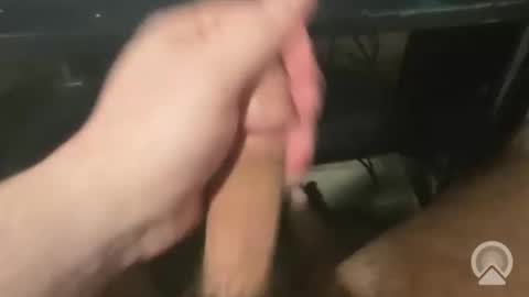 devin255395 online show from 12.03.25