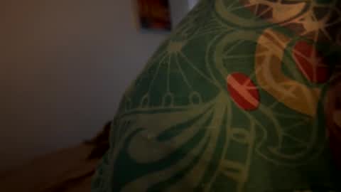 Snapshot of dfking1234 chatting on 11.12.25 DF-travel online show from 11.12.25