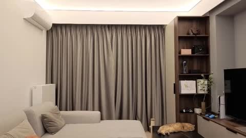 Iris online show from 12.13.25