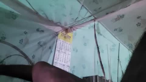 Dick balls online show from 03.08.25