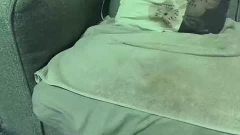 Snapshot of dickwack4u chatting on 01.10.26 dickwack4u online show from 01.10.26