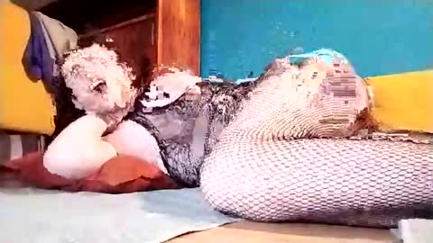 Snapshot of dickycumalotofficial chatting on 03.01.25 Dicky online show from 03.01.25