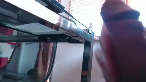 Snapshot of didiegal1 chatting on 03.19.26 squirtcock online show from 03.19.26